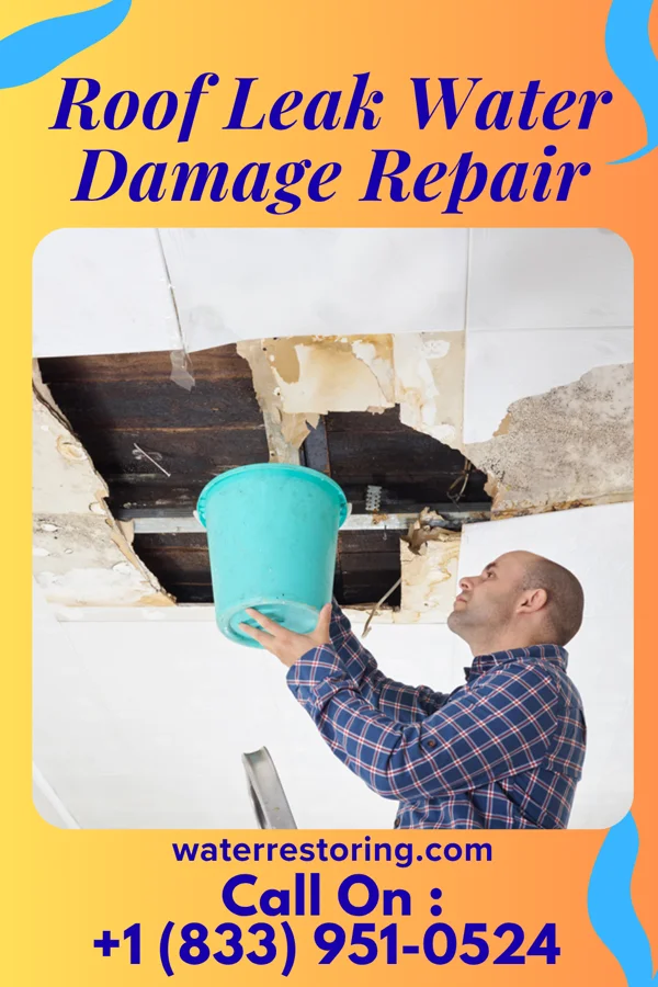 Roof Leak Water Damage Repair in Ray, ND